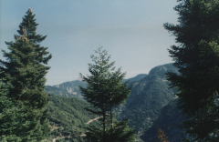 Καλοκαίρι 2003