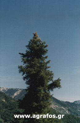 Σεπτέμβρης 2003
